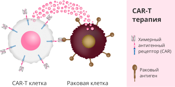 n 1 180925 1