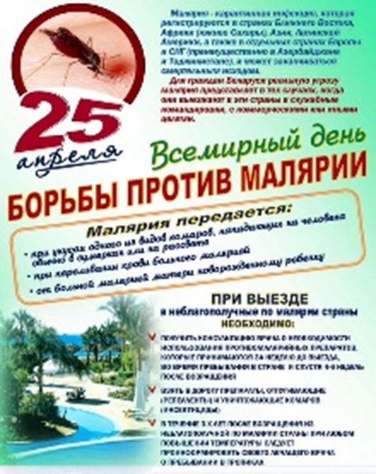 n 11 280426 1